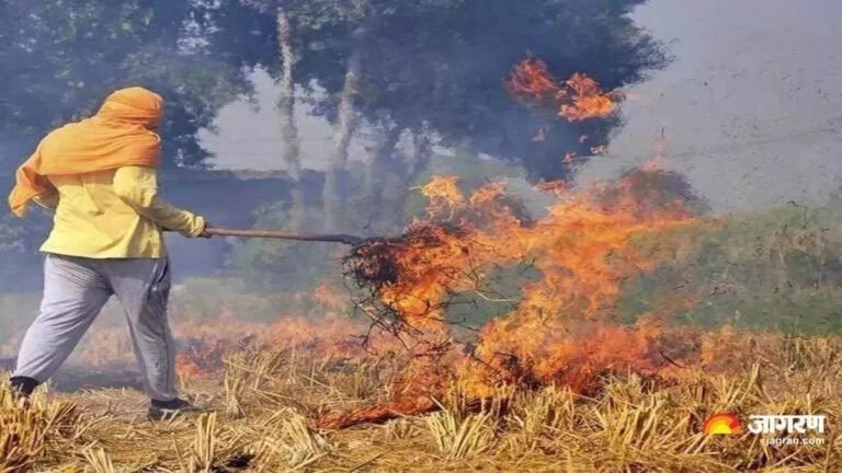 दिल्ली में लगातार बढ़ रहे प्रदूषण को लेकर दिल्ली भाजपा में दिल्ली सरकार से पूछे सवाल ।