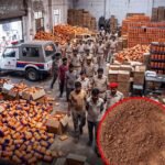 बच्चों के खाने में भी मिलावट! सरकार से सवाल—आखिर जनता जाए तो जाए कहाँ