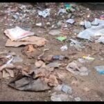 त्रिलोकपुरी के पार्कों की बदहाली ने खोली विकास के दावों की पोल