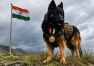 इंडियन आर्मी 2 पैरा स्पेशल र्फोर्सेज का हिस्सा डाग “टायसन” को स्वतंत्रता दिवस पर किया गया सम्मानित