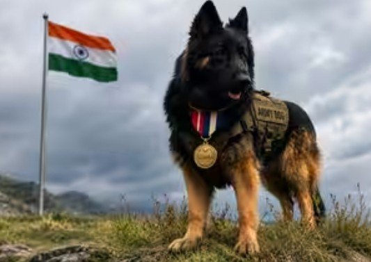 इंडियन आर्मी 2 पैरा स्पेशल र्फोर्सेज का हिस्सा डाग “टायसन” को स्वतंत्रता दिवस पर किया गया सम्मानित