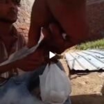 गाजियाबाद – हापुड़ बॉर्डर पर नशे का नेटवर्क: मसूरी पुलिस की कार्रवाई के बाद भी नहीं थमा गांजे का धंधा ।