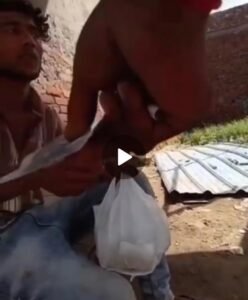 गाजियाबाद – हापुड़ बॉर्डर पर नशे का नेटवर्क: मसूरी पुलिस की कार्रवाई के बाद भी नहीं थमा गांजे का धंधा ।