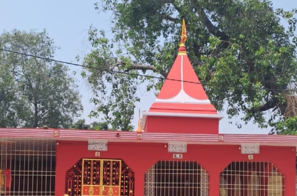 मंदिर के दीपक के साथ पुजारी का सम्मान भी जरूरी, राजनीति में कार्यकर्ताओं के मान-सम्मान पर भी हो विचार ।