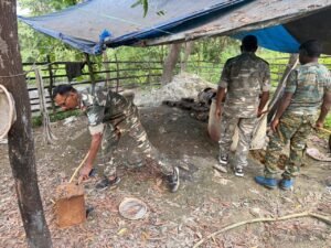 राजनगर पुलिस ने गोपालपुर जंगल में अवैध महुआ शराब भट्ठियों के खिलाफ की कार्रवाई, 250 किलो जावा महुआ नष्ट । 