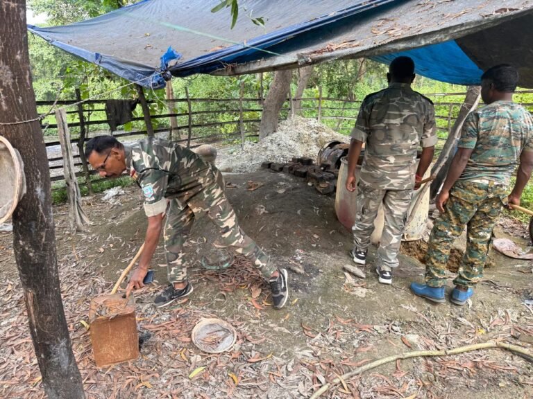 राजनगर पुलिस ने गोपालपुर जंगल में अवैध महुआ शराब भट्ठियों के खिलाफ की कार्रवाई, 250 किलो जावा महुआ नष्ट । 
