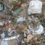 न्यू पंचवटी कॉलोनी के पार्क में गंदगी का अंबार, नगर निगम की सफाई व्यवस्था पर उठे सवाल !